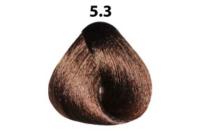 Βαφή Μαλλιών Christian Artesio Νο 5.3 Καστανό Ανοιχτό Χρυσαφί 100ml